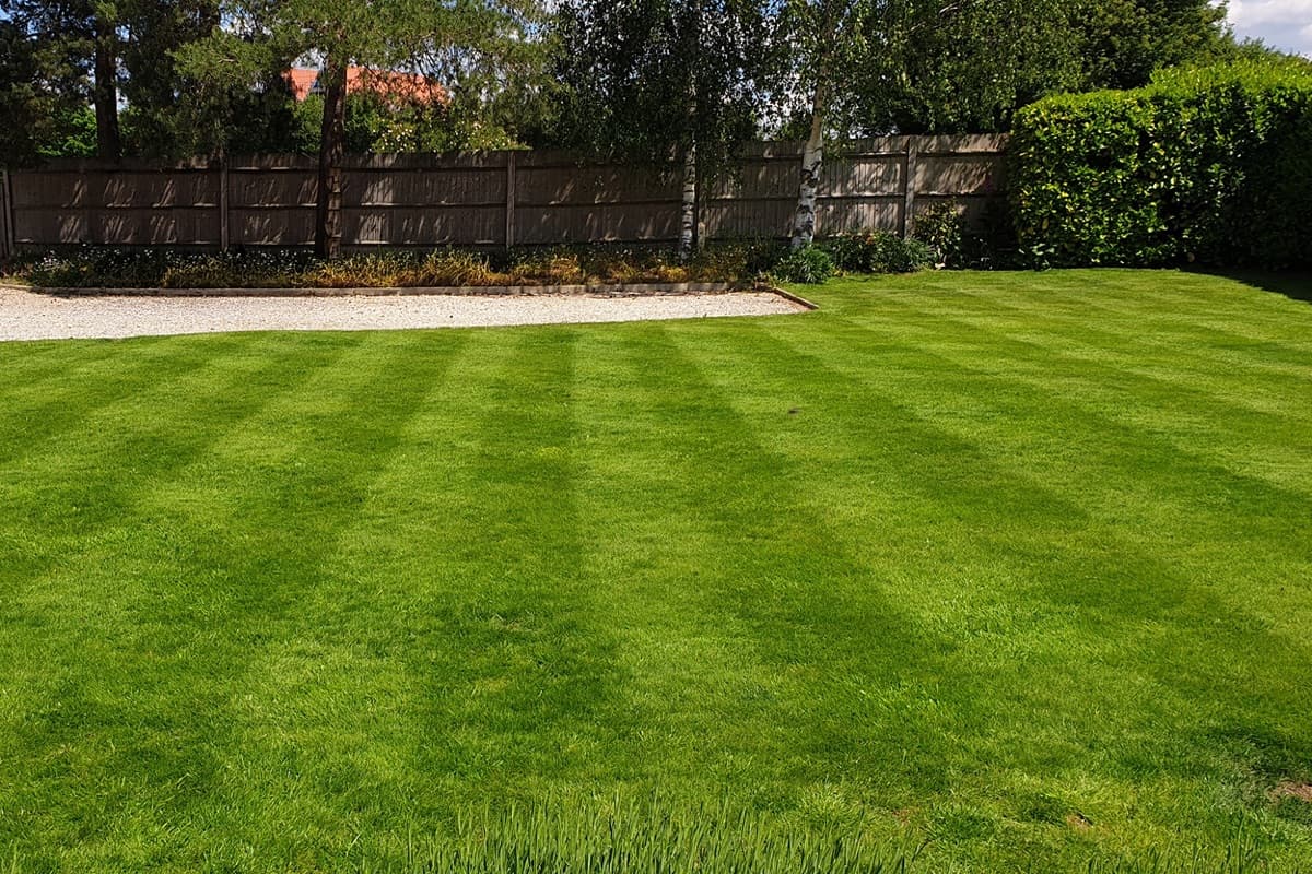 Same Chelmsford lawn with bold healthy stripes and full green coverage after treatment