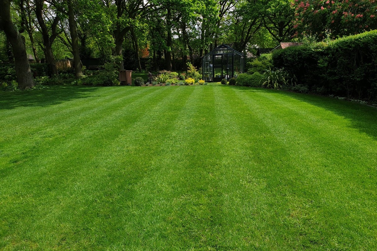 Deep green striped lawn with a greenhouse and colourful planting borders