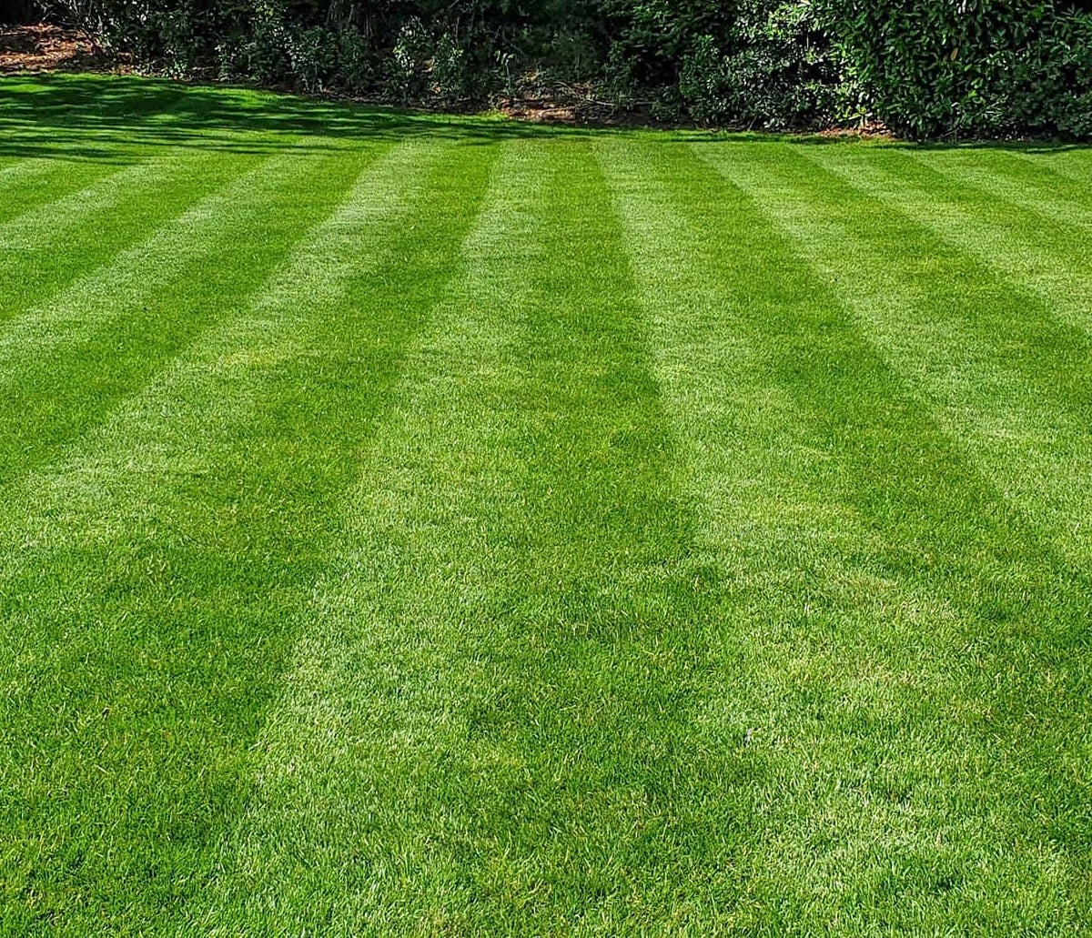 Lush green lawn maintained by Greener Lawn Care in Essex