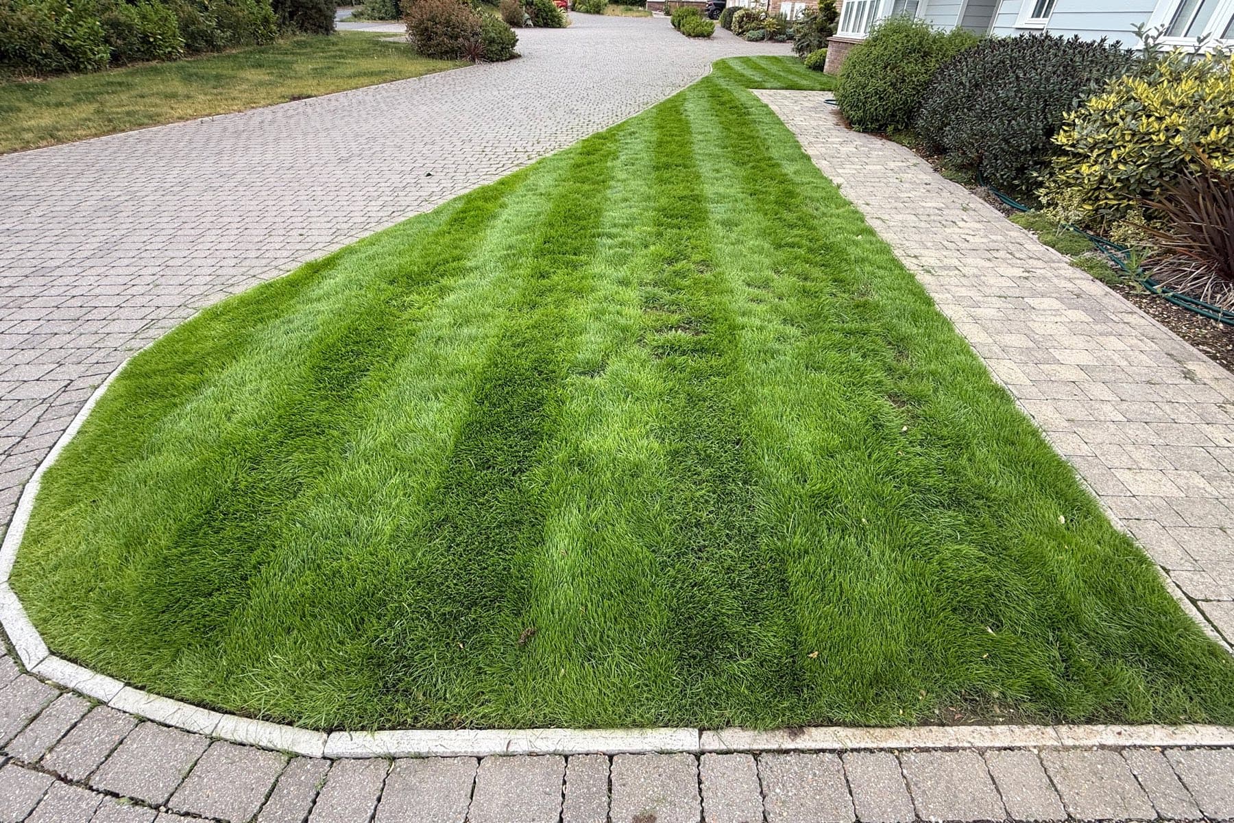 Same Wickham Bishops front lawn after renovation, thick green grass with crisp mowing stripes